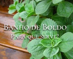 Banho de Boldo