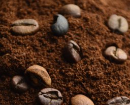 Queime p de caf na sua casa